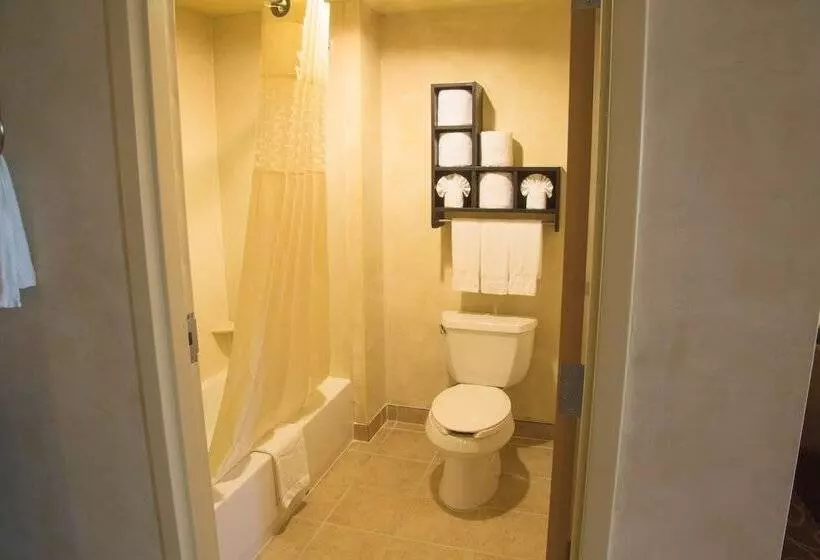 身障者適用ダブルベッド付きスタンダードルーム, Hampton Inn & Suites Dallas Arlington N Entertainment Dist