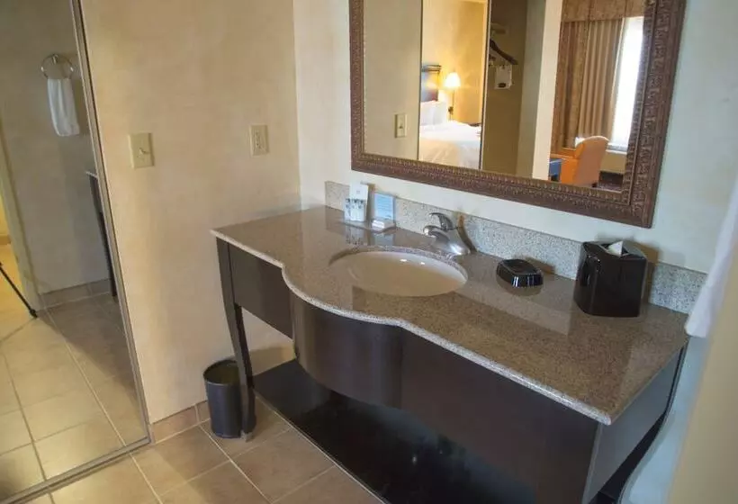 身障者適用ダブルベッド付きスタンダードルーム, Hampton Inn & Suites Dallas Arlington N Entertainment Dist