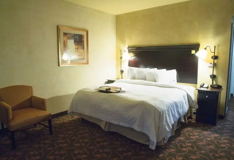 身障者適用ダブルベッド付きスタンダードルーム, Hampton Inn & Suites Dallas Arlington N Entertainment Dist