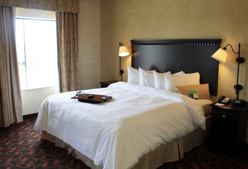 غرفة قياسية سرير مزدوج لذوى الإحتياجات الخاصة, Hampton Inn & Suites Dallas Arlington N Entertainment Dist