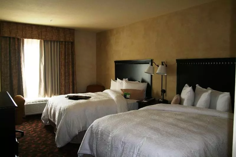 キングサイズベッドのスタンダードルーム, Hampton Inn & Suites Dallas Arlington N Entertainment Dist
