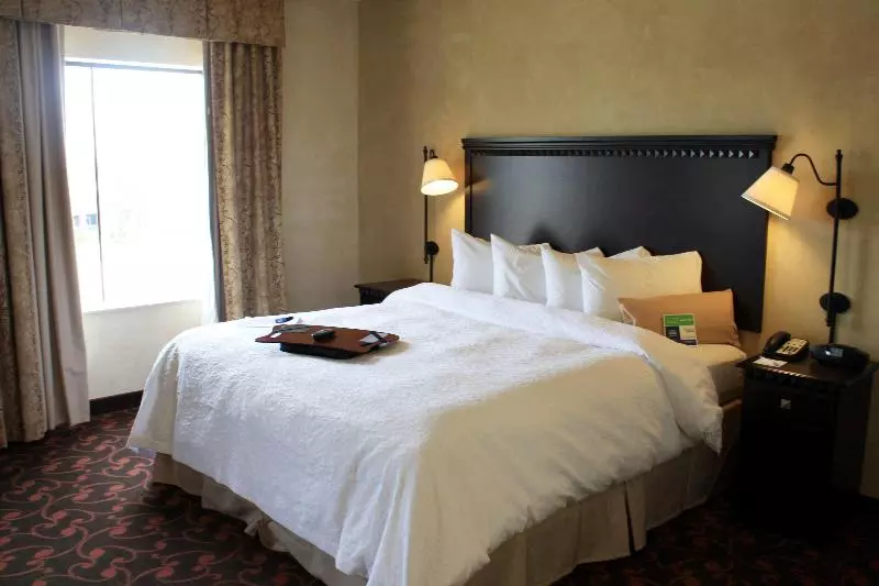 キングサイズベッドのスタンダードルーム, Hampton Inn & Suites Dallas Arlington N Entertainment Dist