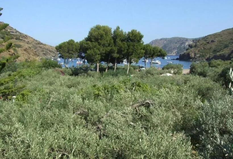 اتاق استاندارد با چشمانداز دریا, Cala Joncols