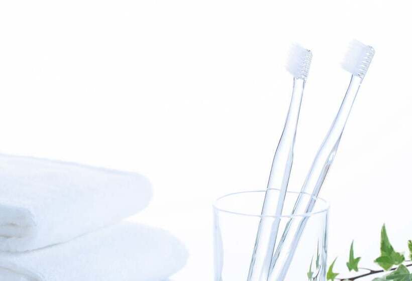 غرفة قياسية, Comfort Hotel Niigata