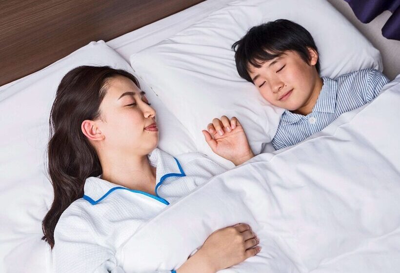 غرفة قياسية, Comfort Hotel Niigata