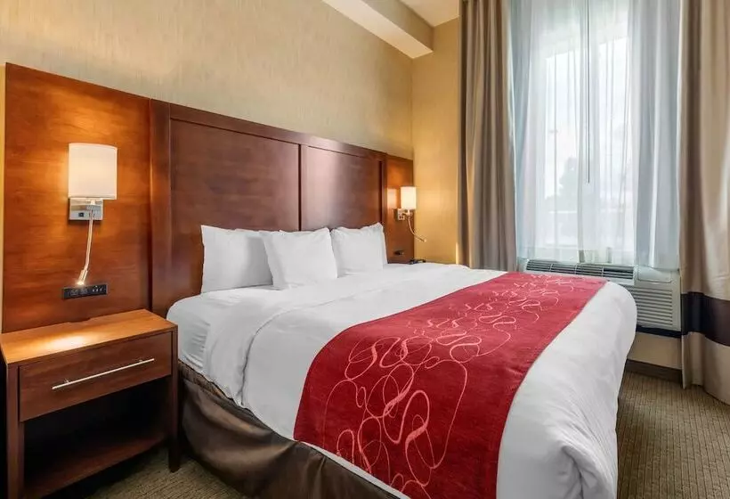 スイート, Comfort Suites Near City Of Industry Los Angeles
