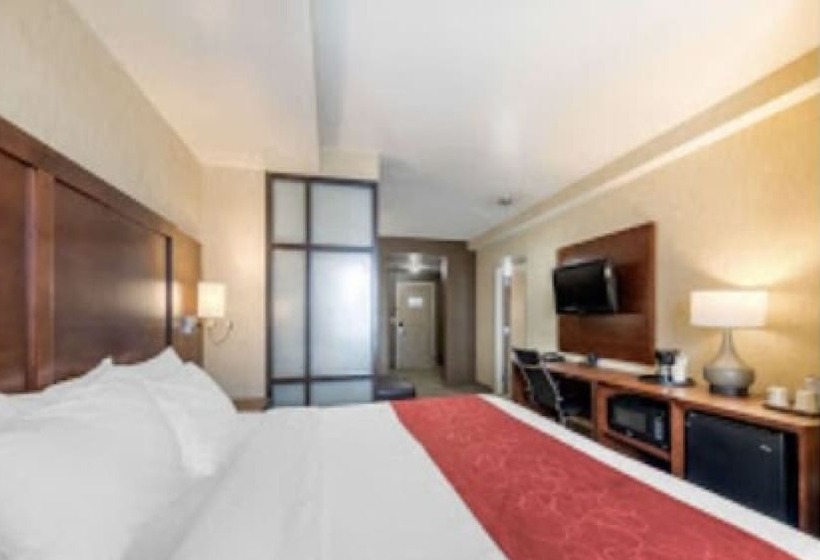 Люкс, Comfort Suites Near City Of Industry  Los Angeles