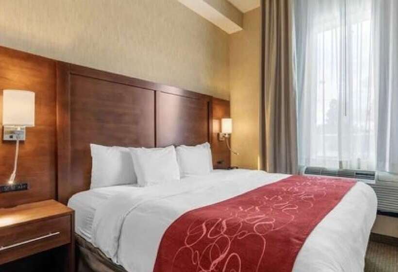 스위트, Comfort Suites Near City Of Industry  Los Angeles