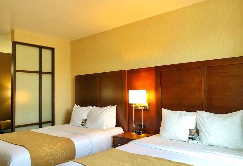 스위트, Comfort Suites Near City Of Industry  Los Angeles