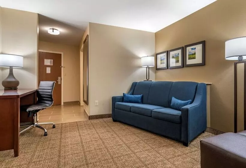 スイート, Comfort Suites Niceville Near Eglin Air Force Base