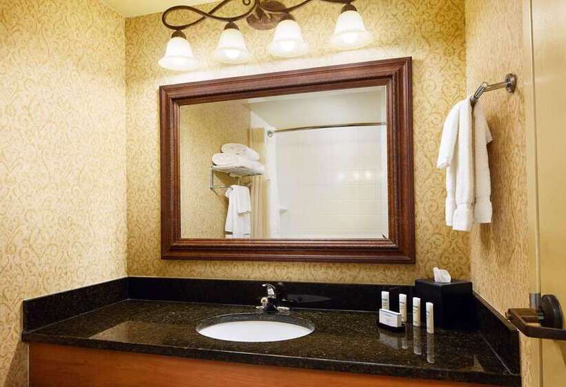 Люкс Кровать Кинг, Embassy Suites By Hilton Columbus Dublin