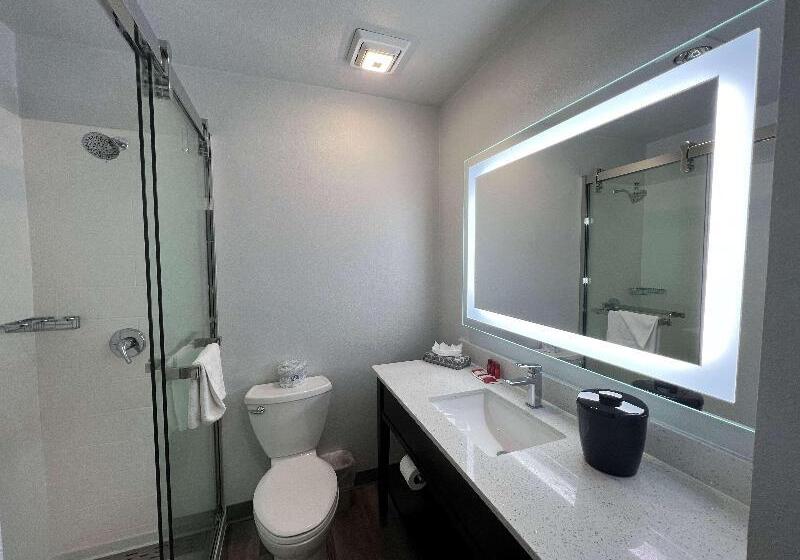 プレジデントスイートルーム, Embassy Suites By Hilton Raleigh Durham Airport Brier Creek