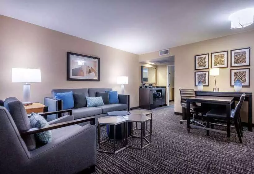 キングサイズベッドのスイートルーム, Embassy Suites By Hilton Raleigh Durham Airport Brier Creek