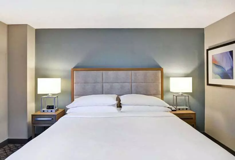 キングサイズベッドのスイートルーム, Embassy Suites By Hilton Raleigh Durham Airport Brier Creek