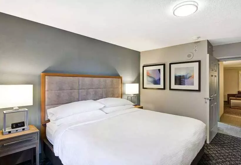 キングサイズベッドのスイートルーム, Embassy Suites By Hilton Raleigh Durham Airport Brier Creek
