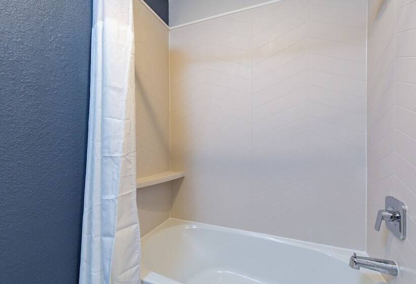 غرفه قياسيه سريرين مزدوجين, Fairfield Inn And Suites By Marriott Tampa North