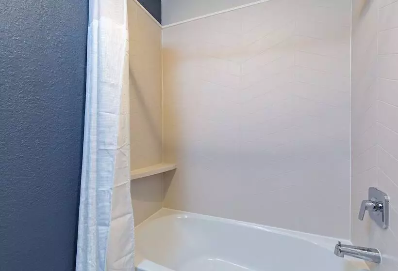 2ダブルベッドのスタンダードルーム, Fairfield Inn And Suites By Marriott Tampa North