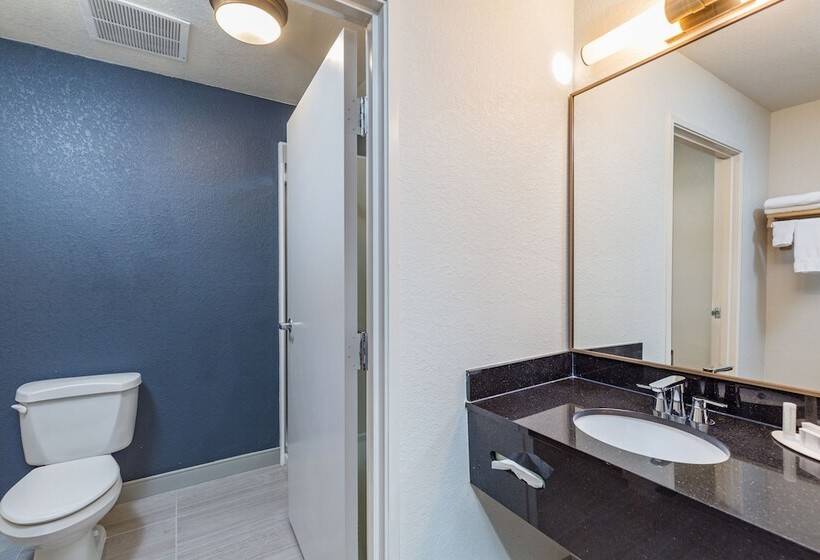 غرفه قياسيه سريرين مزدوجين, Fairfield Inn And Suites By Marriott Tampa North