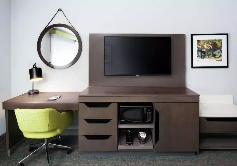استودیو استاندارد با تخت کینگ, Hampton Inn & Suites Lubbock Southwest