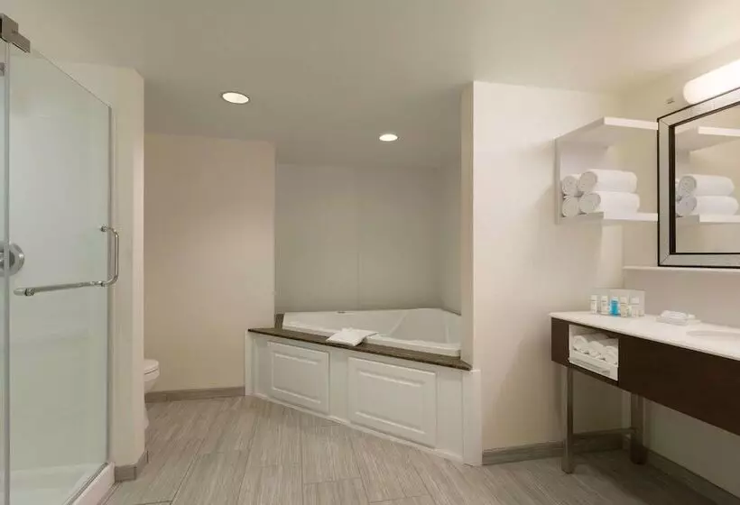 スイート, Hampton Inn & Suites Nashville Downtown