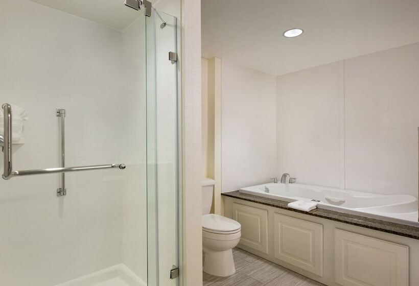 سوییت, Hampton Inn & Suites Nashville Downtown