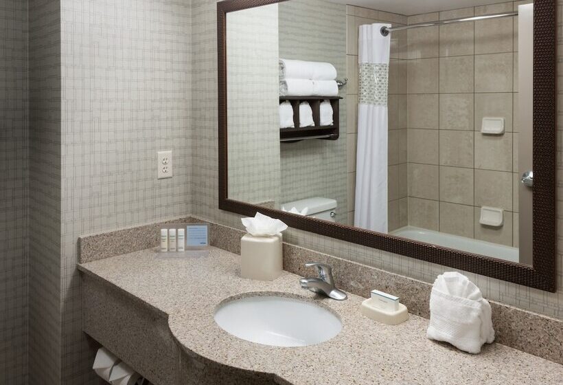 חדר סטנדרט מיטה זוגית, Hampton Inn & Suites Boisedowntown