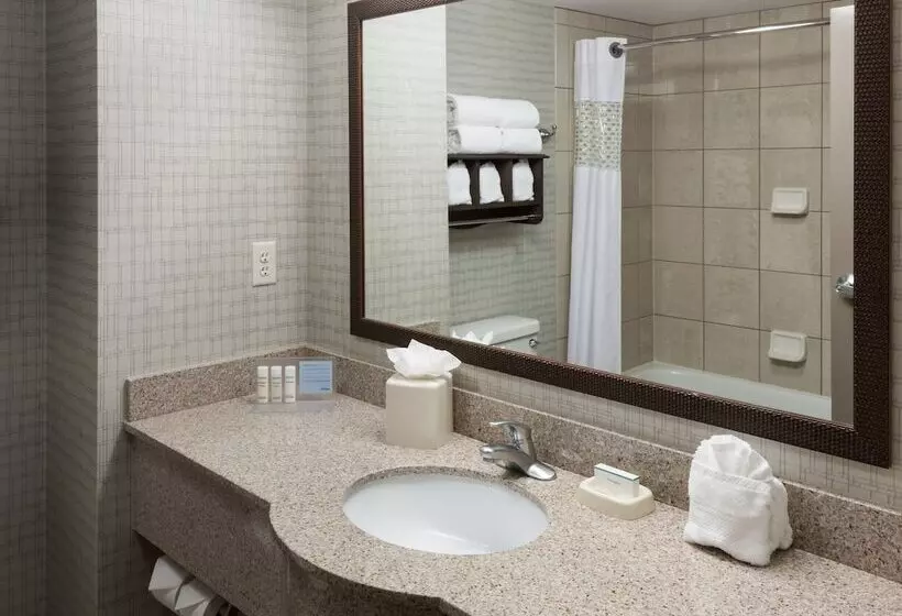 اتاق استاندارد با تخت دوبل, Hampton Inn & Suites Boisedowntown