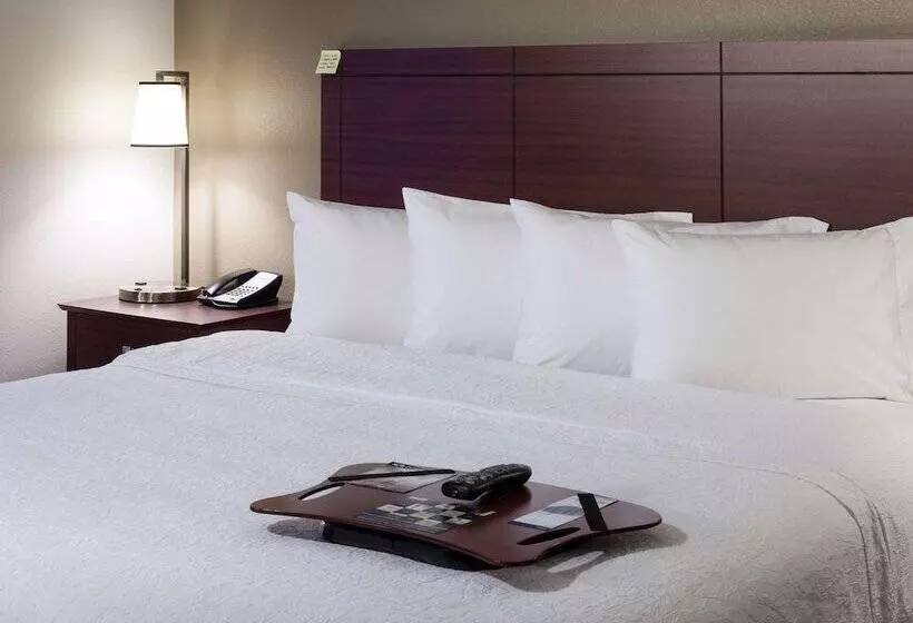 اتاق استاندارد با تخت دوبل, Hampton Inn & Suites Boisedowntown