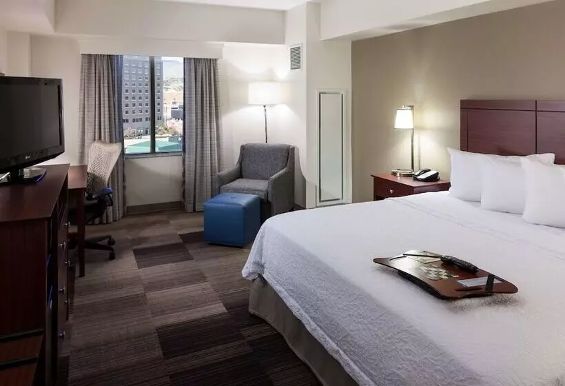 اتاق استاندارد با تخت دوبل, Hampton Inn & Suites Boisedowntown