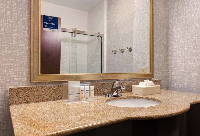 סטודיו סטנדרט מיטה זוגית, Hampton Inn & Suites Galveston