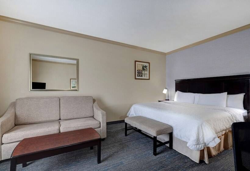 استودیوی استاندارد با تخت دوبل, Hampton Inn & Suites Galveston