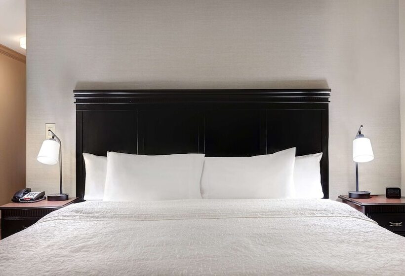 Студия Стандарт Двуспальная Кровать, Hampton Inn & Suites Galveston