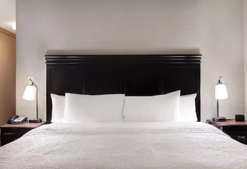 Standard-studio Parivuode, Hampton Inn & Suites Galveston