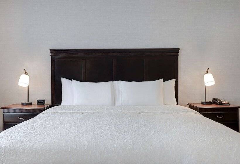 סטודיו סטנדרט מיטה זוגית, Hampton Inn & Suites Galveston