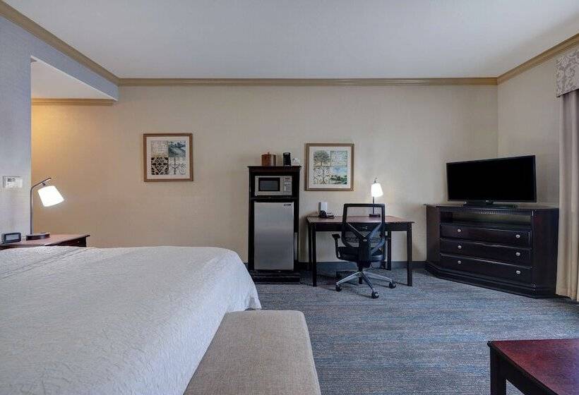 סטודיו סטנדרט מיטה זוגית, Hampton Inn & Suites Galveston