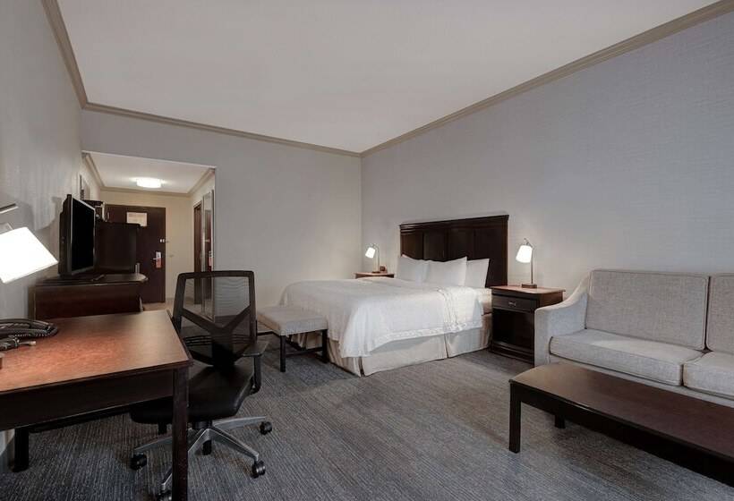 استودیوی استاندارد با تخت دوبل, Hampton Inn & Suites Galveston