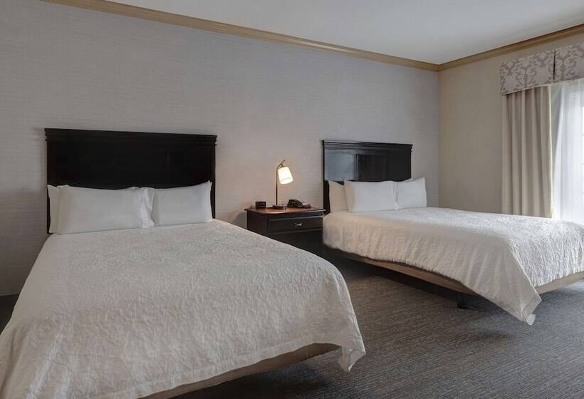Номер Стандарт 2 Двуспальные Кровати, Hampton Inn & Suites Galveston