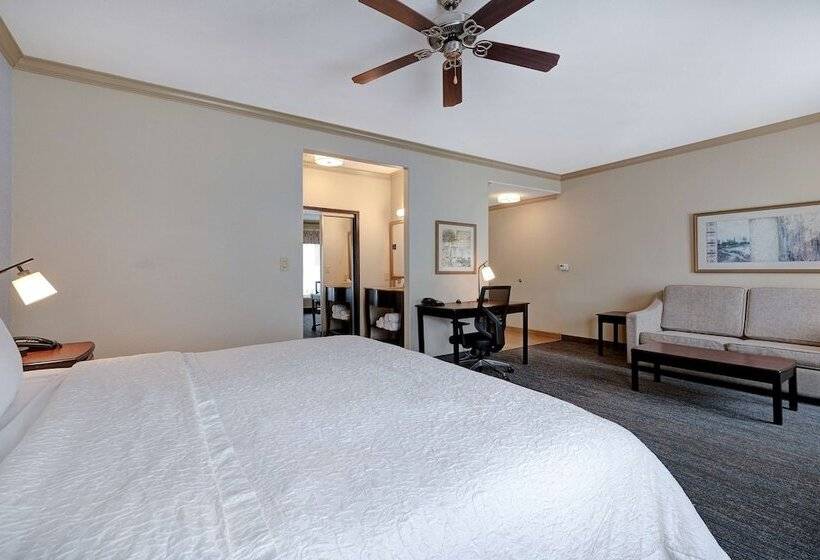 استودیوی استاندارد با تخت دوبل, Hampton Inn & Suites Galveston