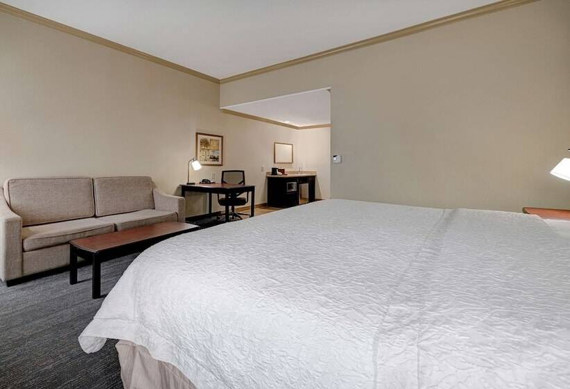 استودیوی استاندارد با تخت دوبل, Hampton Inn & Suites Galveston