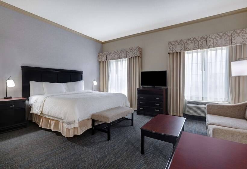 Студия Стандарт Двуспальная Кровать, Hampton Inn & Suites Galveston