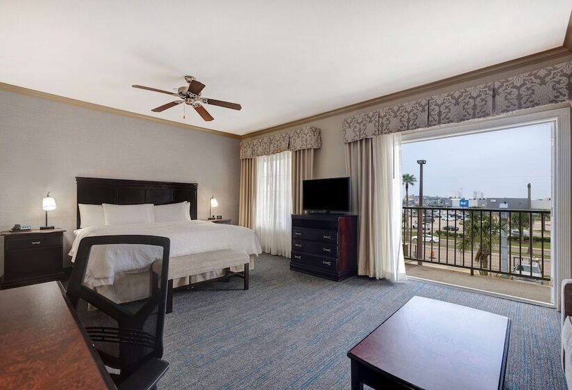 استودیوی استاندارد با تخت دوبل, Hampton Inn & Suites Galveston