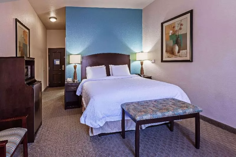キングサイズベッドのスタンダードルーム, Hampton Inn & Suites Lake Jacksonclute