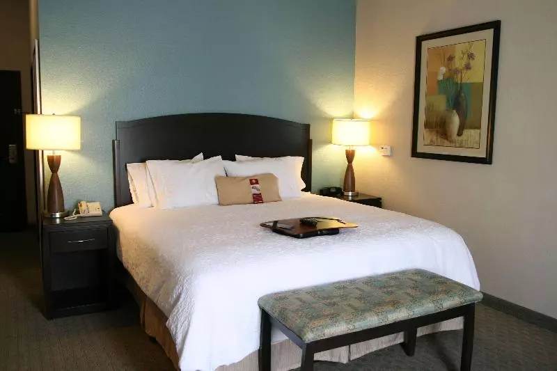 キングサイズベッドのスタンダードルーム, Hampton Inn & Suites Lake Jacksonclute