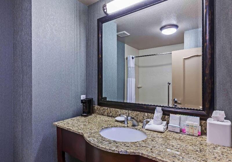 キングサイズベッドのスタンダードルーム, Hampton Inn & Suites Lake Jacksonclute