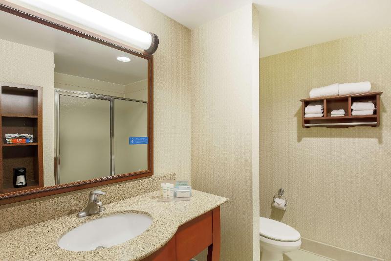 חדר סטנדרט עם מיטת קינג, Hampton Inn & Suitesdallas Allen