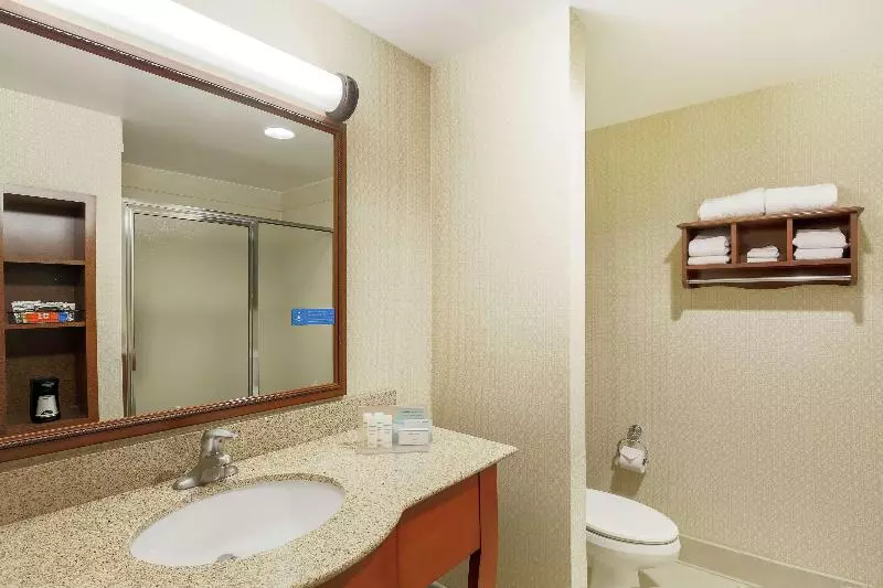 キングサイズベッドのスタンダードルーム, Hampton Inn & Suitesdallas Allen