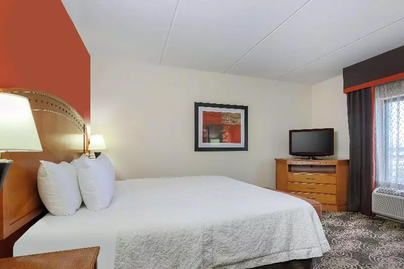 キングサイズベッドのスタンダードルーム, Hampton Inn & Suitesdallas Allen