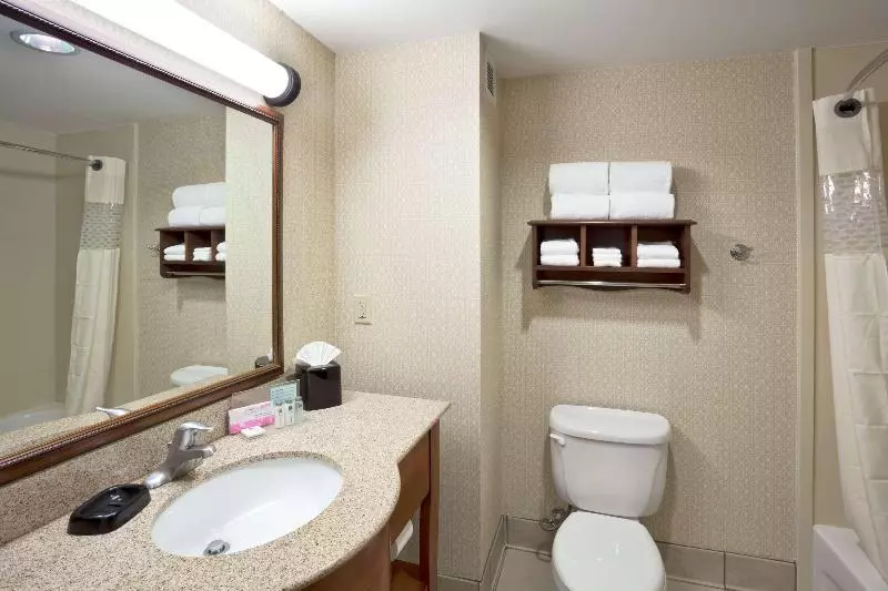 キングサイズベッドのスタンダードルーム, Hampton Inn & Suitesdallas Allen