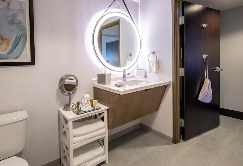 장애인을 위한 스탠다드 룸, Hilton Dallas/southlake Town Square