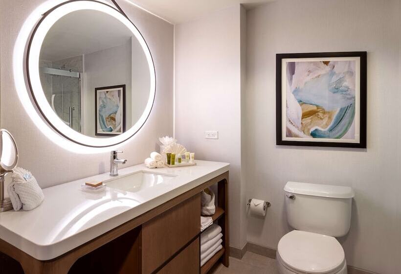 Номер Стандарт Двуспальная Кровать, Hilton Dallas/southlake Town Square